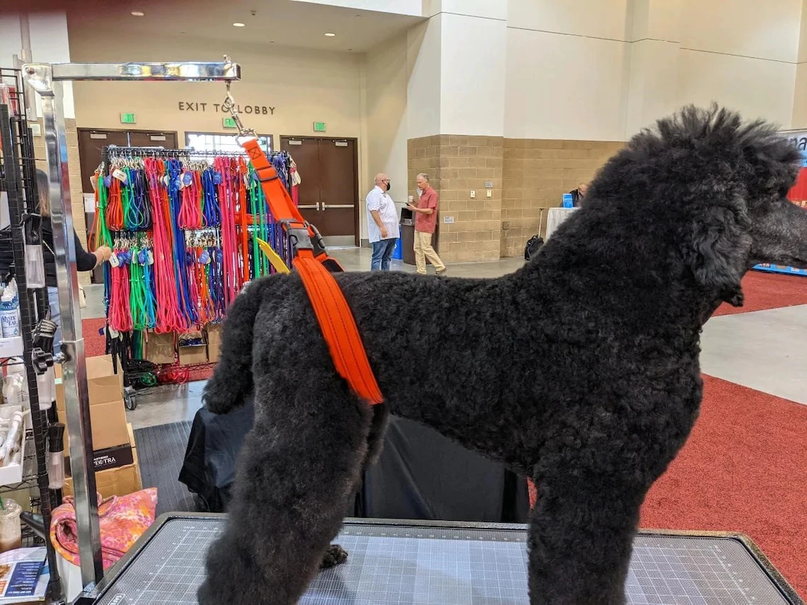 GroomTech Biothane Belly Strap Set - Teal - Image 3