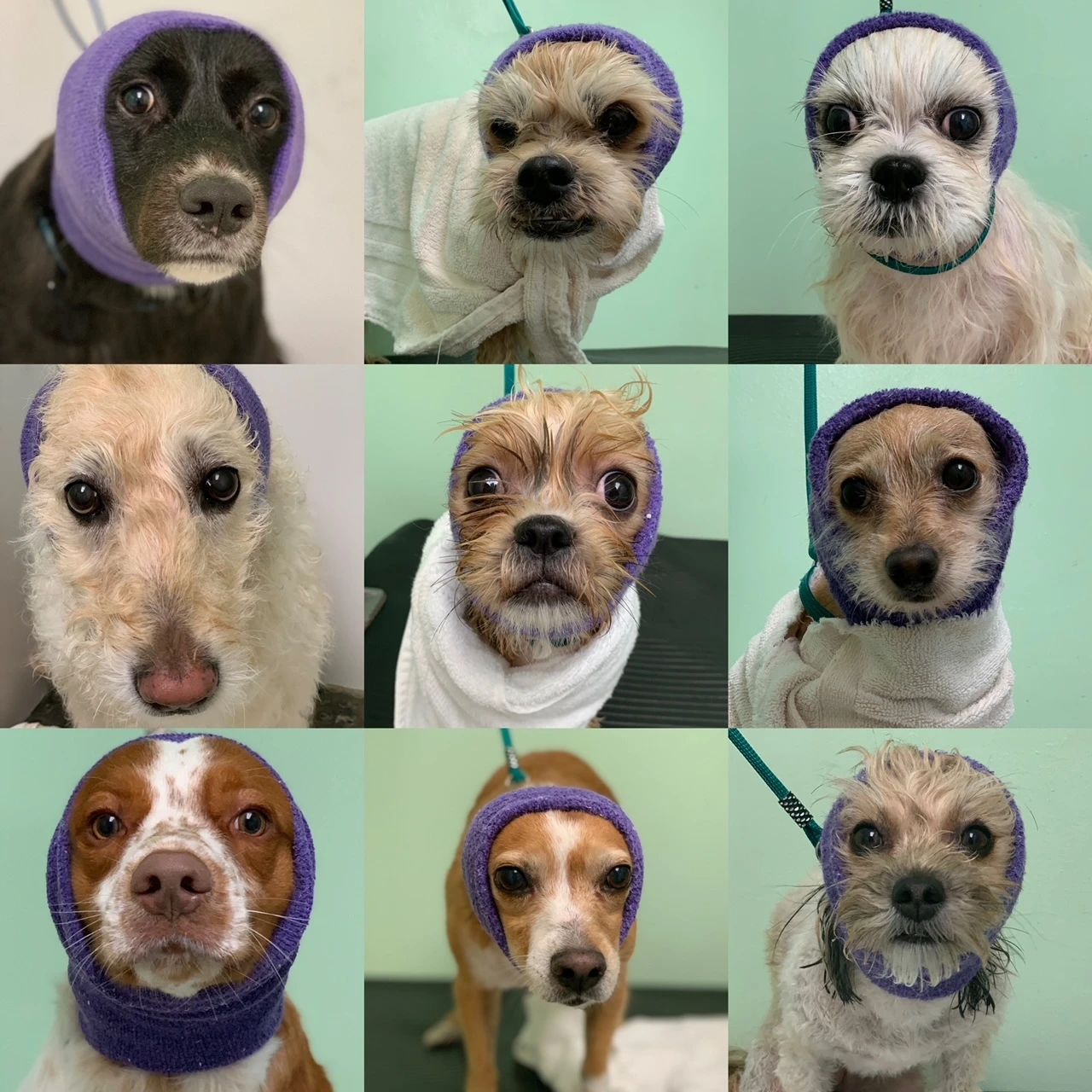 Happy Hoodie Purple, X-Small - Image 3