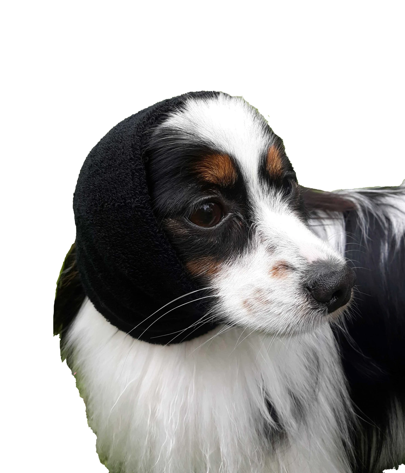 Happy Hoodie Purple, X-Small - Image 4