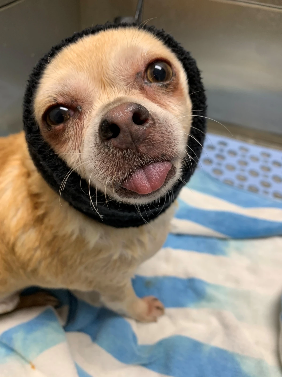 Happy Hoodie Purple, X-Small - Image 5