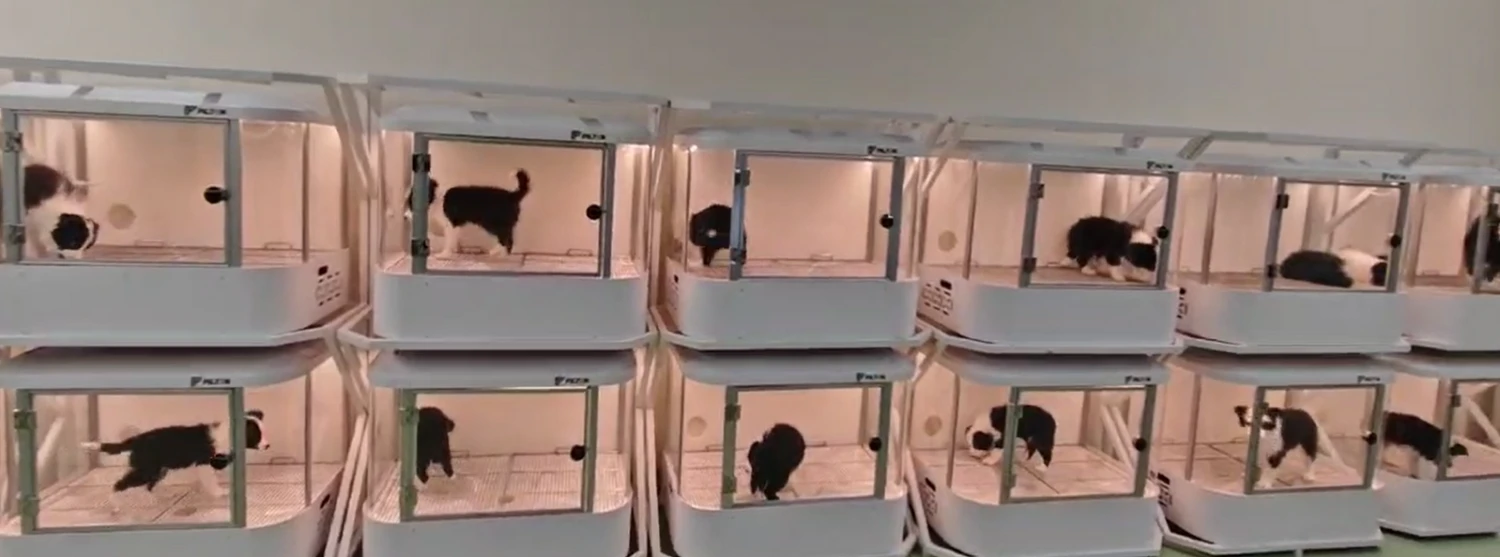 Smart Dog Cabin M01 Pro - Image 8