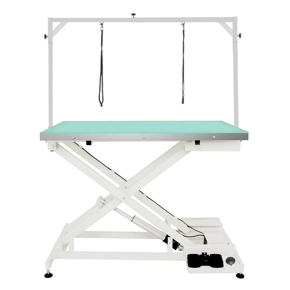 Shernbao Electric Lifting Table With LED Light And H Frame