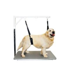 Show Tech Comfort Belly Strap For Big Dog