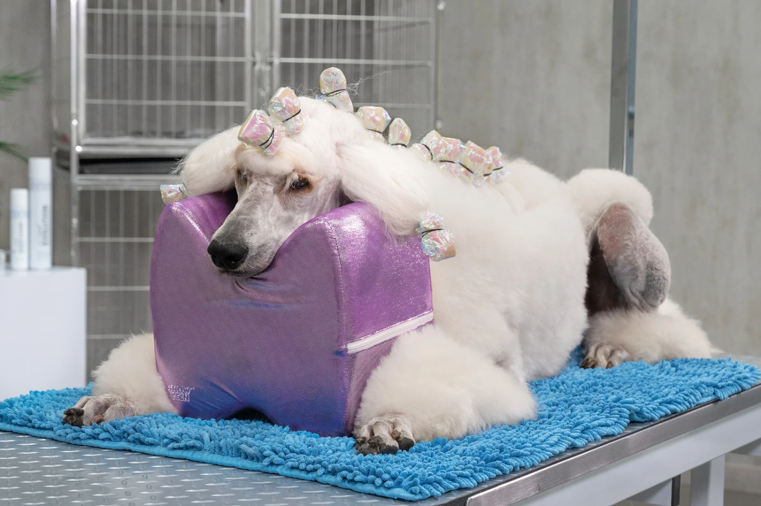 Show Tech Topknot Cushion Pillow Glitzy Purple - Small - Image 3