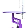 Aeolus Classic Z Shape Electric Lifting Table - Medium [Purple]
